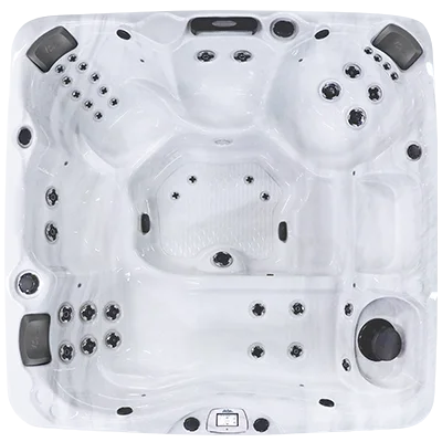 Avalon-X EC-840LX hot tubs for sale in Bellingham