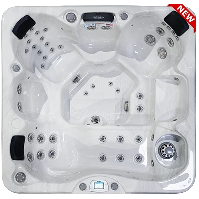 Avalon-X EC-849LX hot tubs for sale in Bellingham