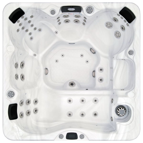 Avalon-X EC-867LX hot tubs for sale in Bellingham