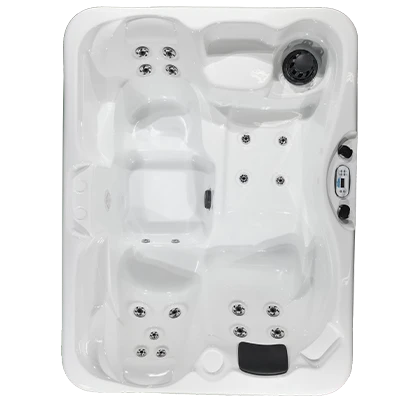 Kona PZ-519L hot tubs for sale in Bellingham